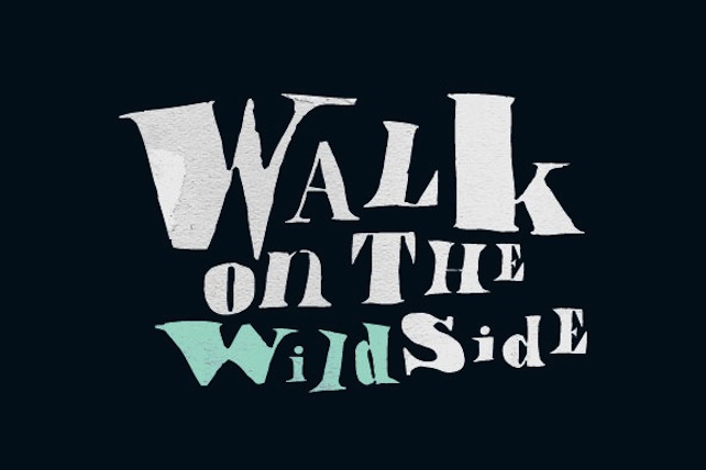 Font choice is an essential facet of logo design and one that should not be neglected.