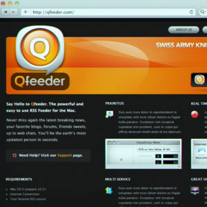 Logo design for Qfeeder by madewira