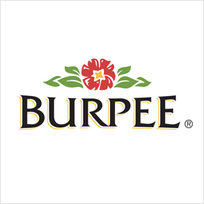 Burpee logo