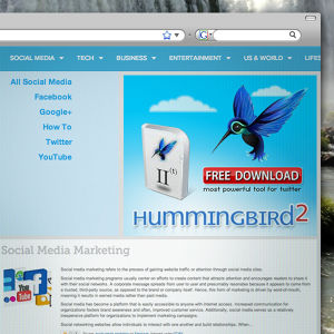 Logo design for Hummingbird by basz