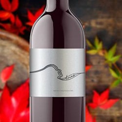 Logo per B Wise Vineyards (www.BWiseVineyards.com) TRIOS wine di adamlbar