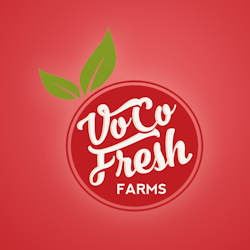 Logo design for Vo Co Fresh by Project 4