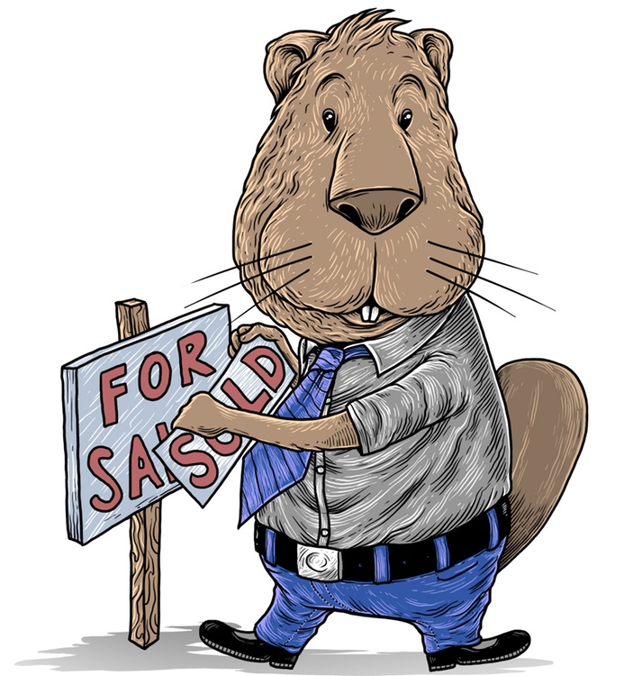 Roger the real estate agent beaver with a For Sale sign