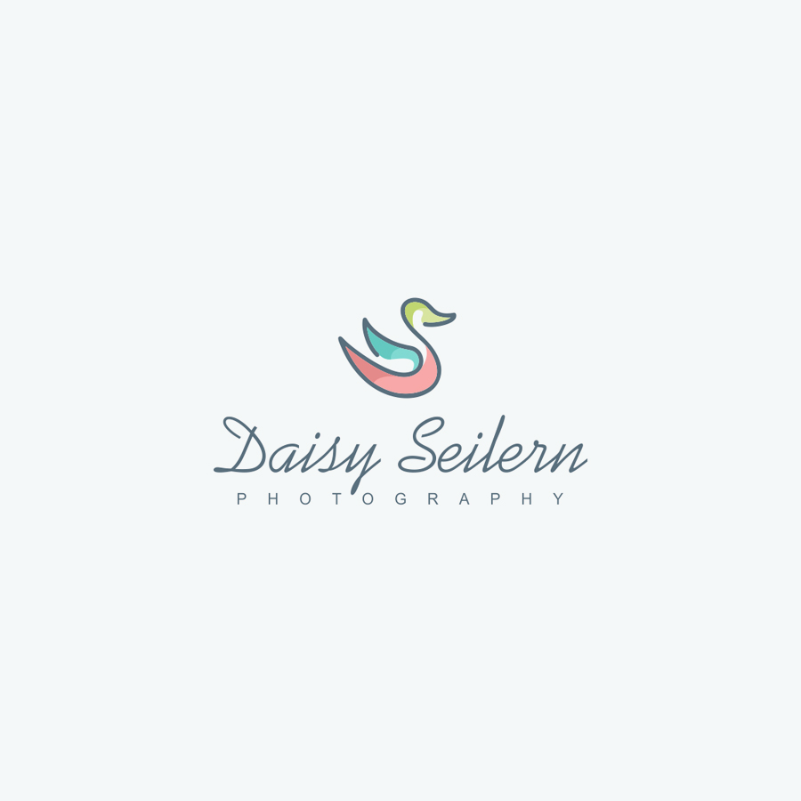 Daisy Seilern photography logo