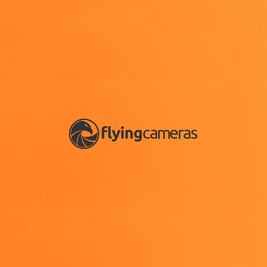 Flying Cameras photography logo design