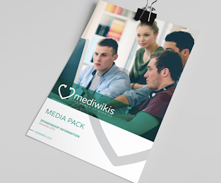 Visual design styles