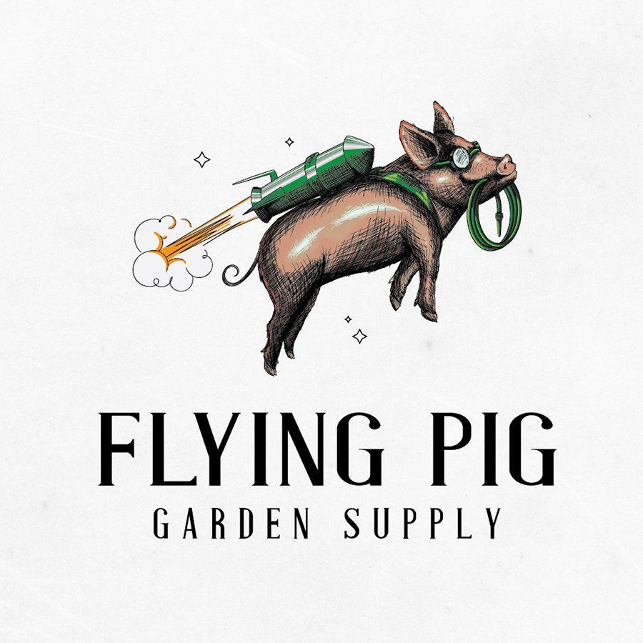 Diseño de logotipo para FlyingPig por Mad pepper